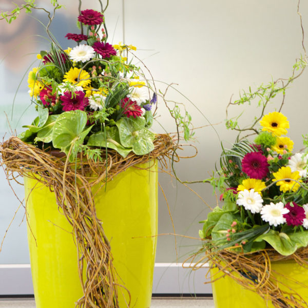 wj_wt2015_10_aufbau_010_12