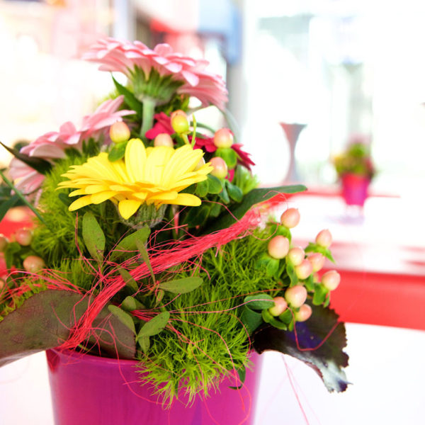 wj_wt2015_10_aufbau_019_15